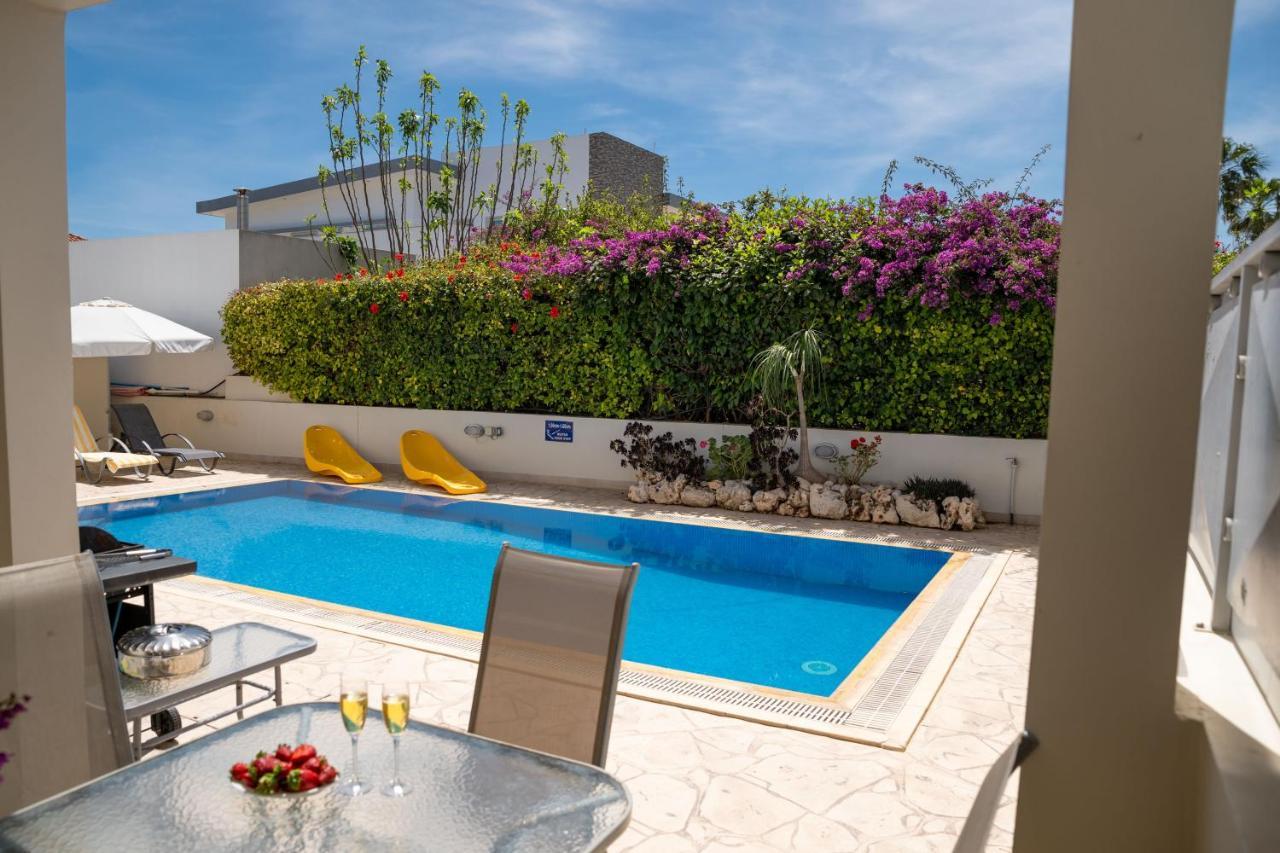 Palm Villa Ekaterina 4 Bdrmパラリムニ エクステリア 写真